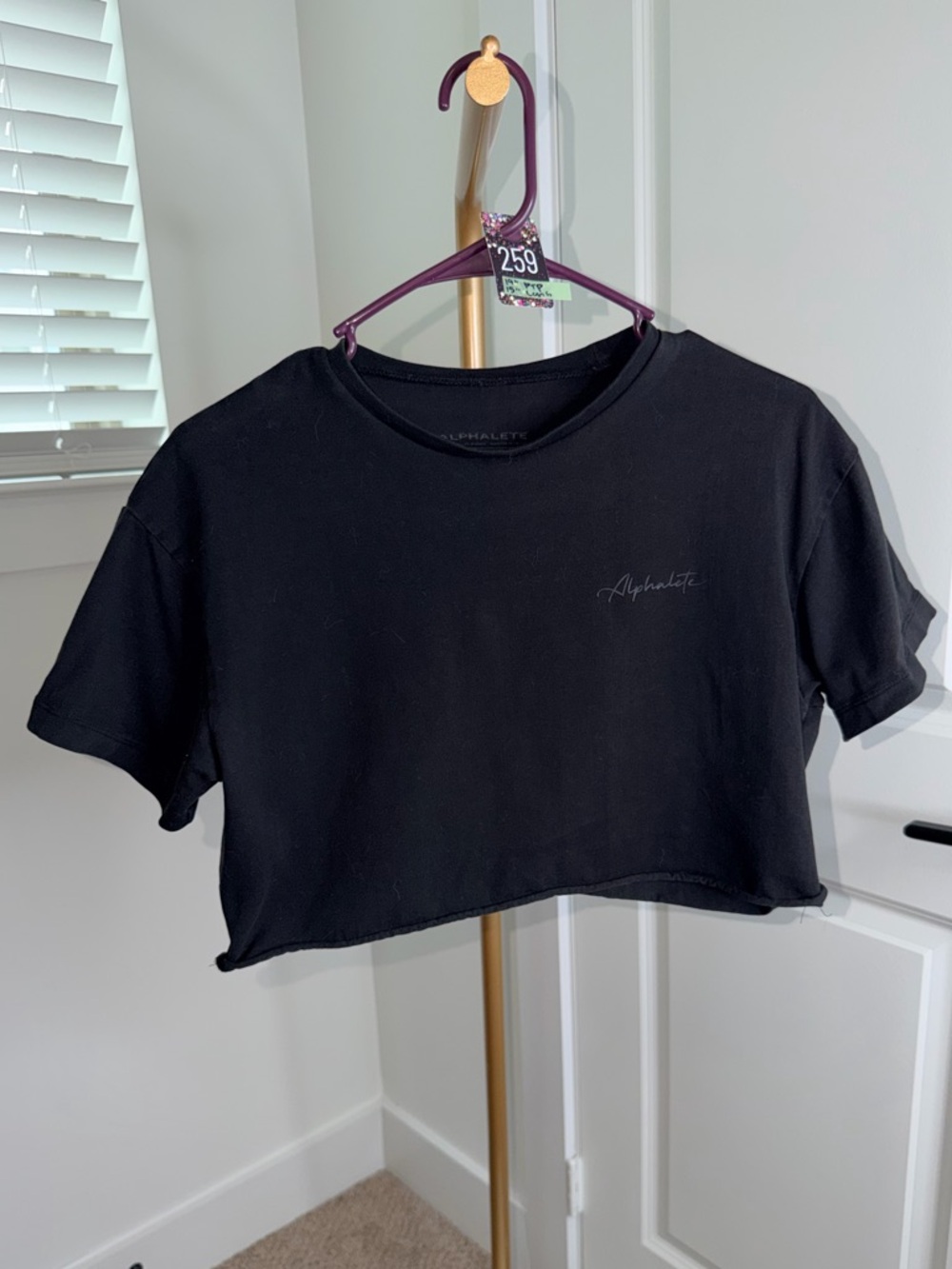 259. Alphalete Crop Top